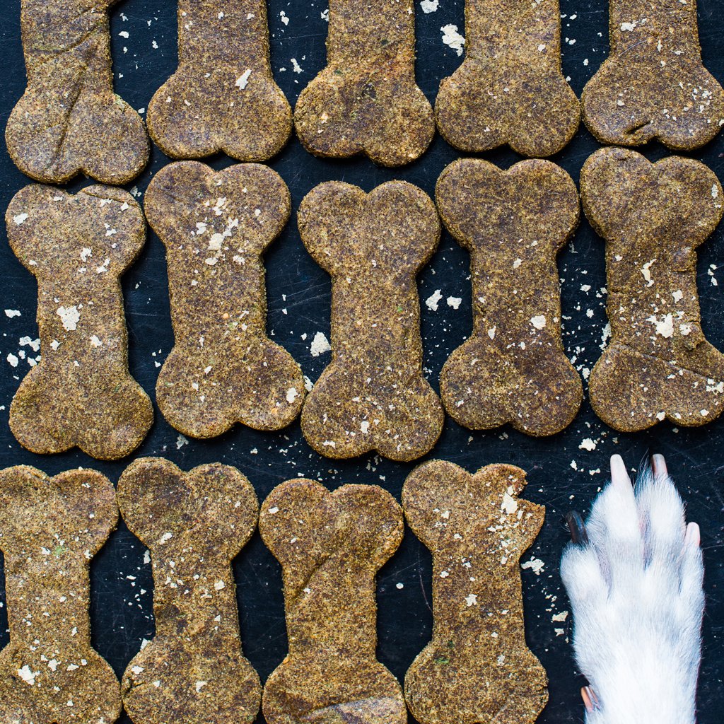 Dog.Eat.Plant. Yes, dogs can eat plants!